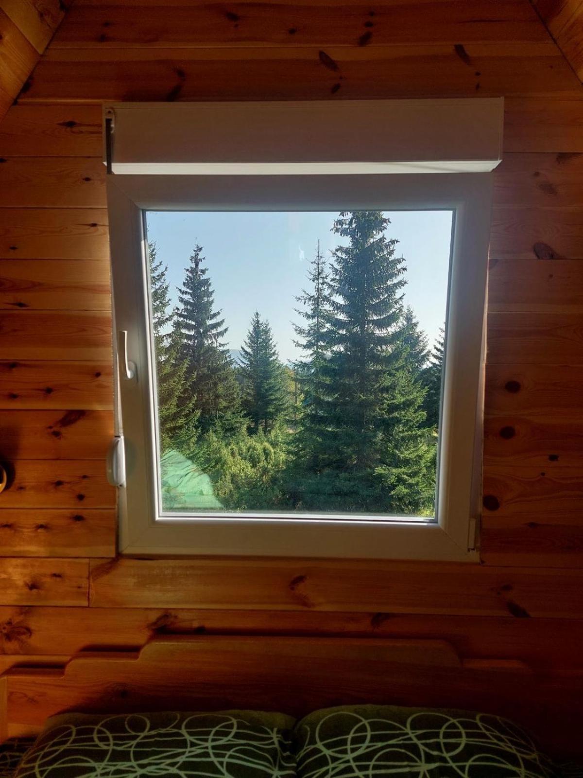 Villa Pejovic Žabljak Exteriör bild