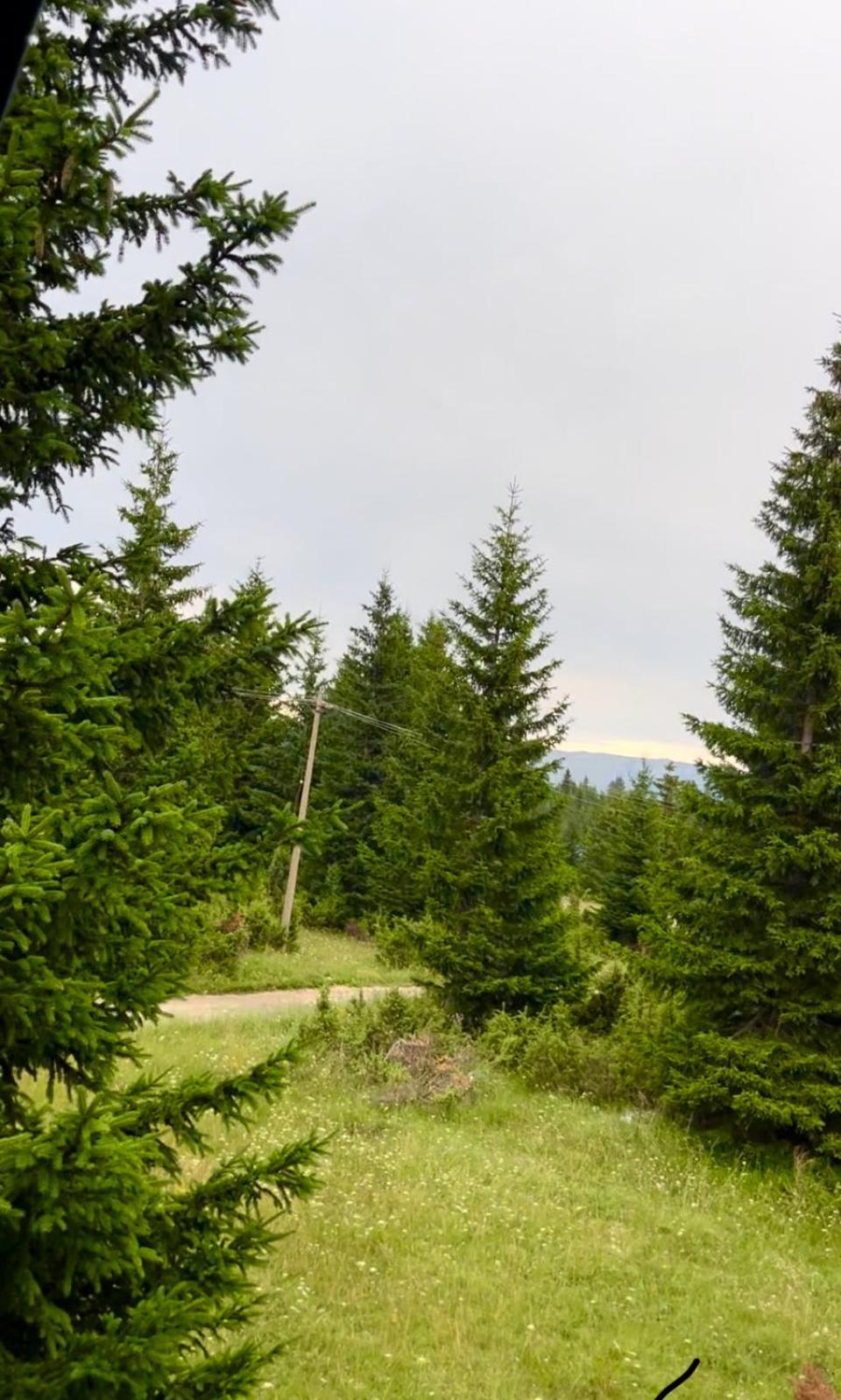 Villa Pejovic Žabljak Exteriör bild
